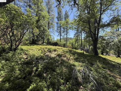 0000 Forest Service Road 3N50, Sonora, California 95370, Estados Unidos