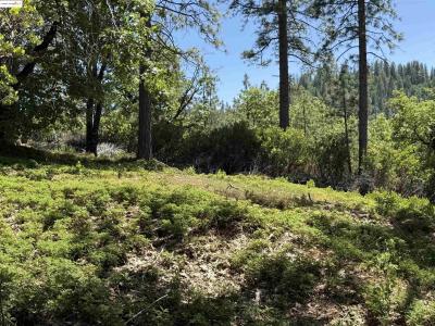 0000 Forest Service Road 3N50, Sonora, California 95370, Estados Unidos