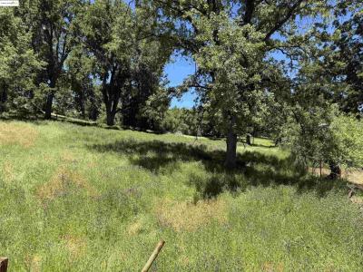0000 Meadow Lane, Sonora, Калифорния 95370, Соединенные Штаты
