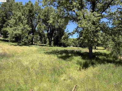 0000 Meadow Lane, Sonora, Калифорния 95370, Соединенные Штаты