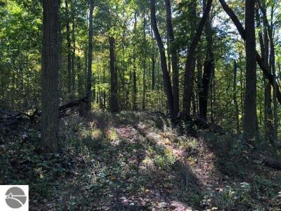 Parcel B Mariah Lane, Northport, Michigan 49670, USA