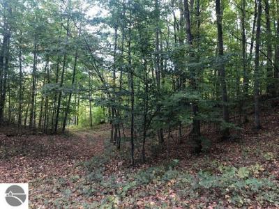 Parcel B Mariah Lane, Northport, ミシガン 49670, アメリカ合衆国
