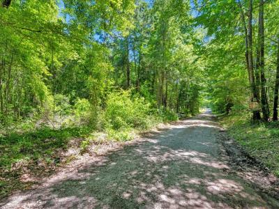 L16700 Bill Jones Road, Lufkin, テキサス 75901, アメリカ合衆国