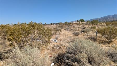 Del Rosa, Pinon Hills, Californie 92372, États-Unis