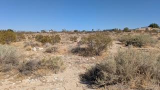 Del Rosa, Pinon Hills, Californie 92372, États-Unis