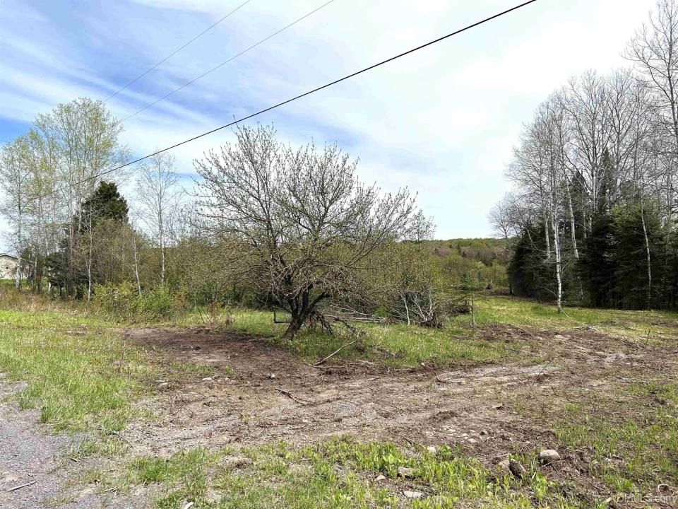 TBD Lower Worham Rd, Chassell, Michigan 49916, États-Unis
