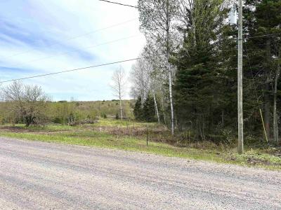 TBD Lower Worham Rd, Chassell, Michigan 49916, États-Unis