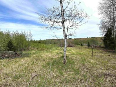 TBD Lower Worham Rd, Chassell, Michigan 49916, États-Unis