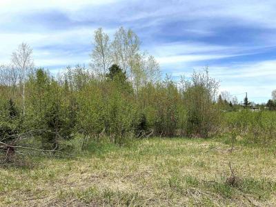 TBD Lower Worham Rd, Chassell, Michigan 49916, États-Unis