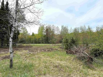 TBD Lower Worham Rd, Chassell, Michigan 49916, États-Unis