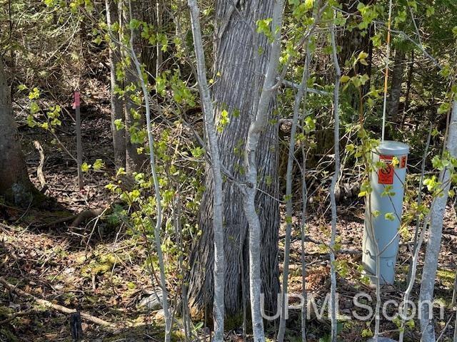 TBD 38 Harbor Coast Lane , Lot 38, Copper Harbor, Michigan 49918