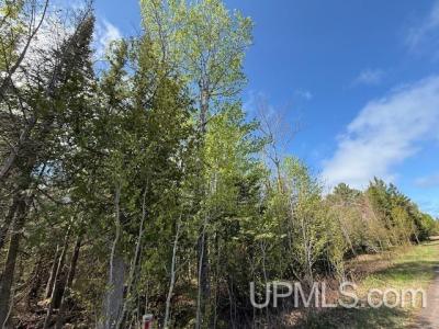 TBD 38 Harbor Coast Lane , Lot 38, Copper Harbor, Michigan 49918