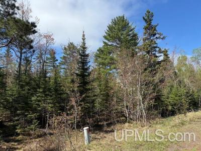 TBD 38 Harbor Coast Lane , Lot 38, Copper Harbor, Michigan 49918