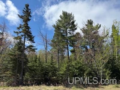 TBD 38 Harbor Coast Lane , Lot 38, Copper Harbor, Michigan 49918
