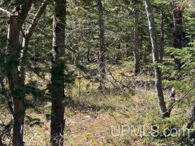 TBD 38 Harbor Coast Lane , Lot 38, Copper Harbor, Michigan 49918, USA