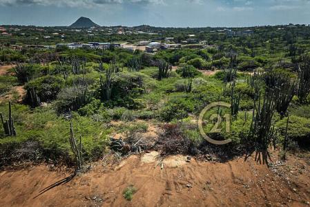 Curiburi Estates full ownership land Lot 12, Curiburi Estates Full Ownership Land, Paradera, Aruba