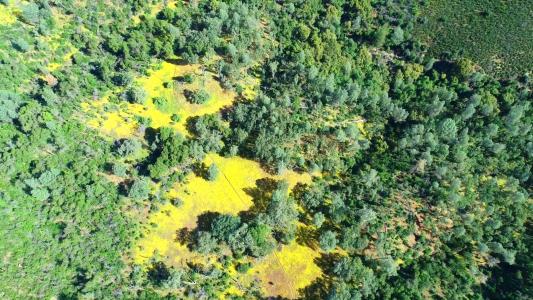 100 Unassigned Acres Buckhorn Fire Rd., Coulterville, California 95311