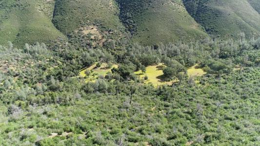 100 Unassigned Acres Buckhorn Fire Rd., Coulterville, California 95311