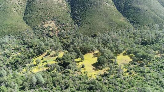 100 Unassigned Acres Buckhorn Fire Rd., Coulterville, California 95311