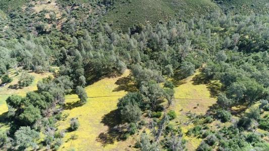 100 Unassigned Acres Buckhorn Fire Rd., Coulterville, California 95311