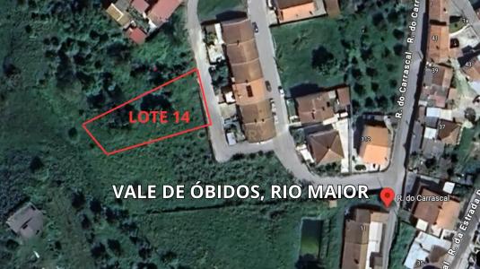 Bombarral, Leiria 2040-406, Portugal