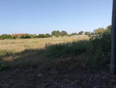 Salvaterra de Magos, Santarém 2120-066, Portugal