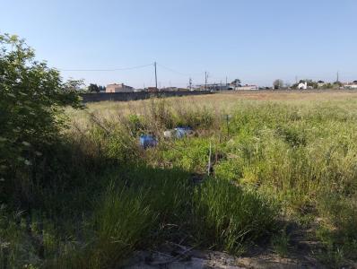 Salvaterra De Magos, 圣塔伦 2120-066, 葡萄牙