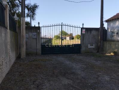 Salvaterra De Magos, 圣塔伦 2120-066, 葡萄牙