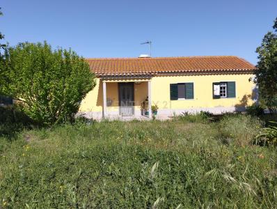 Salvaterra De Magos, 圣塔伦 2120-066, 葡萄牙