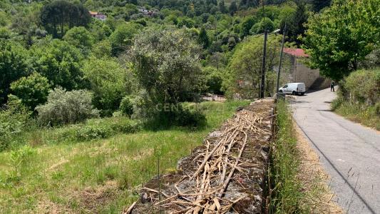 Covilhã, Castelo Branco 6200-232, Portugal