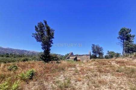 Fundão, Castelo Branco 6005-300, Portugal