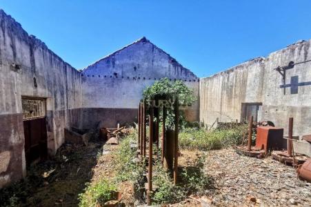 Fundão, Castelo Branco 6005-300, Portugal