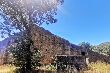 Fundão, Castelo Branco 6005-300, Portugal