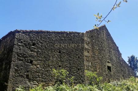 Fundão, Castelo Branco 6005-300, Portugal