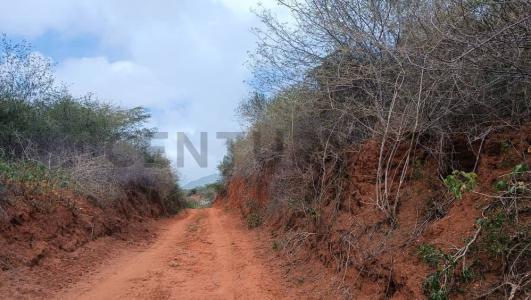calle Caraballo Terreno, El Pilar (Los Robles), Nueva Esparta 6316, Venezuela