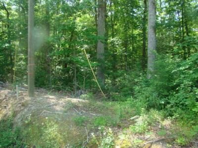 1 Lot 10 Birch Drive, Blounts Creek, 노스 캐롤라이나 27814, 미국