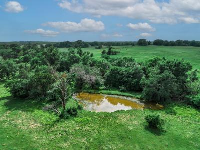 29.987 Acres Texas Highway 11 E, Pickton, 德克薩斯州 75471, 美國