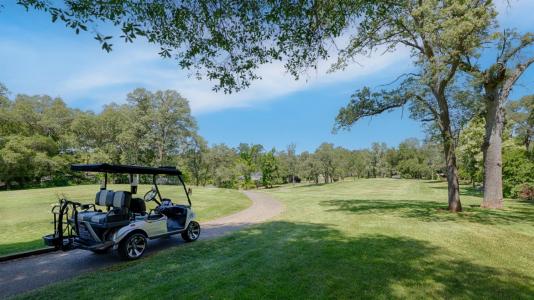 12431 Torrey Pines Drive, Auburn, California 95602