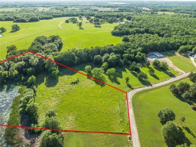 Lot 4 Cascades Blvd, Paris, Texas 75462, Stati Uniti