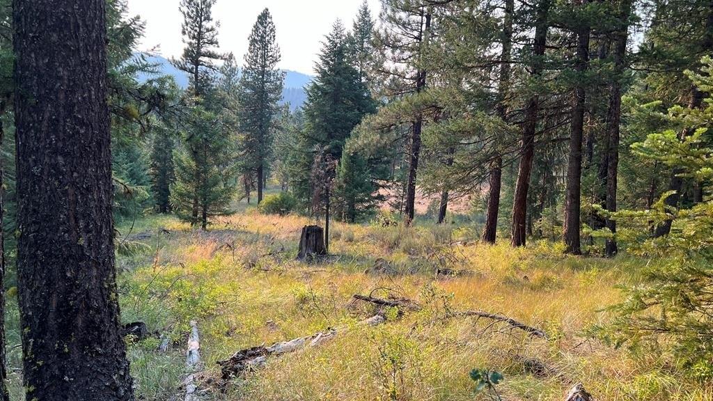 Tbd Tamarack View Drive, New Meadows, Idaho 83654, Estados Unidos