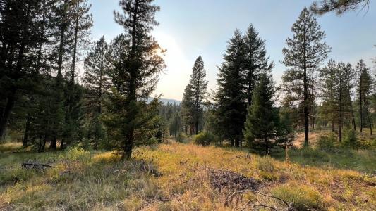 Tbd Tamarack View Drive, New Meadows, Idaho 83654, Estados Unidos