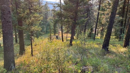 Tbd Tamarack View Drive, New Meadows, Idaho 83654, Estados Unidos