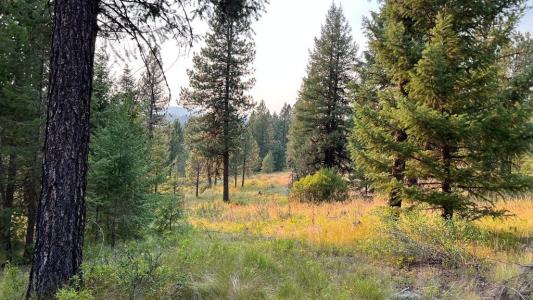 Tbd Tamarack View Drive, New Meadows, Idaho 83654, Estados Unidos