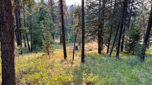 Tbd Tamarack View Drive, New Meadows, Idaho 83654, Estados Unidos