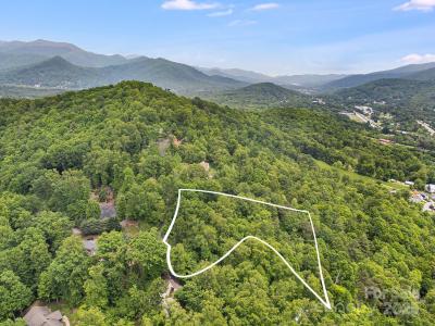 9999 Small Mountain Drive, Asheville, 北卡羅來納州 28805, 美國