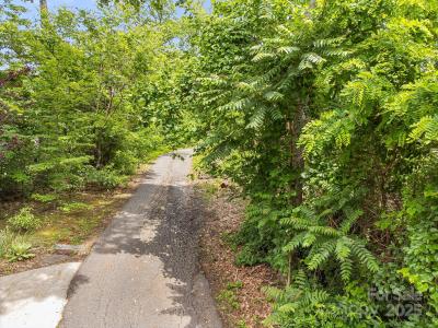 9999 Small Mountain Drive, Asheville, 北卡羅來納州 28805, 美國