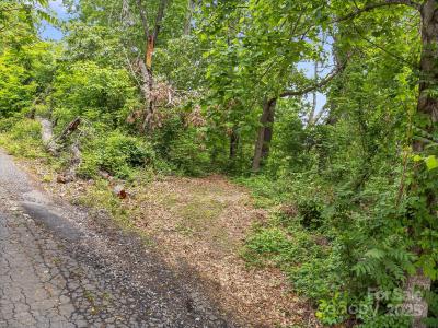 9999 Small Mountain Drive, Asheville, 北卡羅來納州 28805, 美國