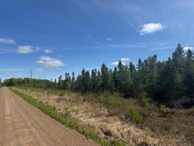 33XXX 30th Ave, Isle, Minnesota 56342