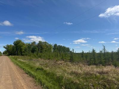 33XXX 30th Ave, Isle, Minnesota 56342