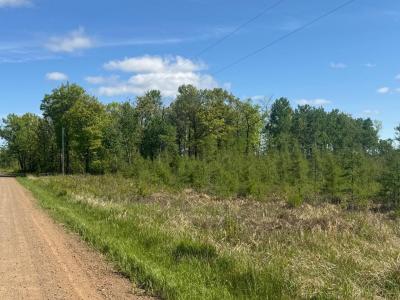 33XXX 30th Ave, Isle, Minnesota 56342